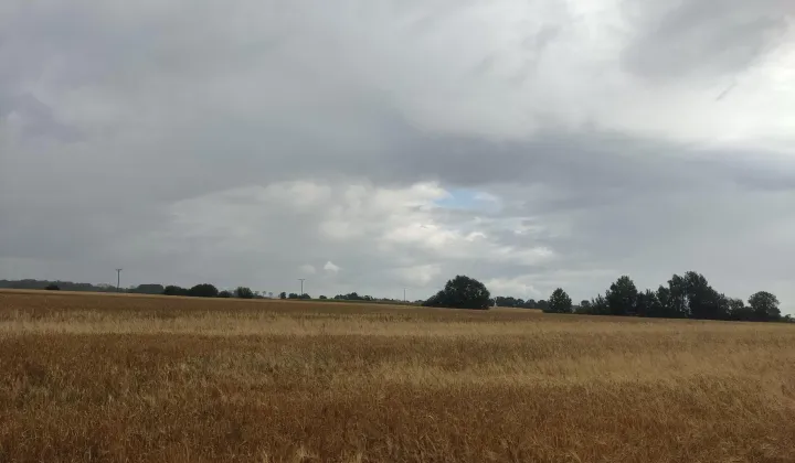 Działka rolna Witków