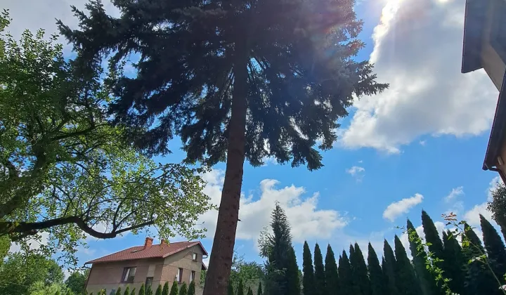 dom wolnostojący, 3 pokoje Jaworzno Centrum, Chełmońskiego