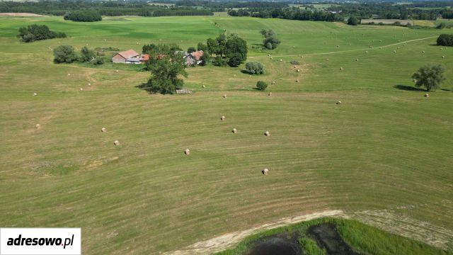 Działka rolna Babki Gąseckie. Zdjęcie 1