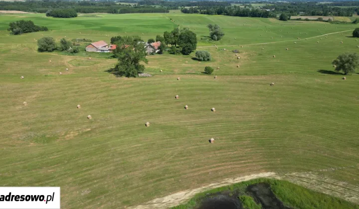 Działka rolna Babki Gąseckie