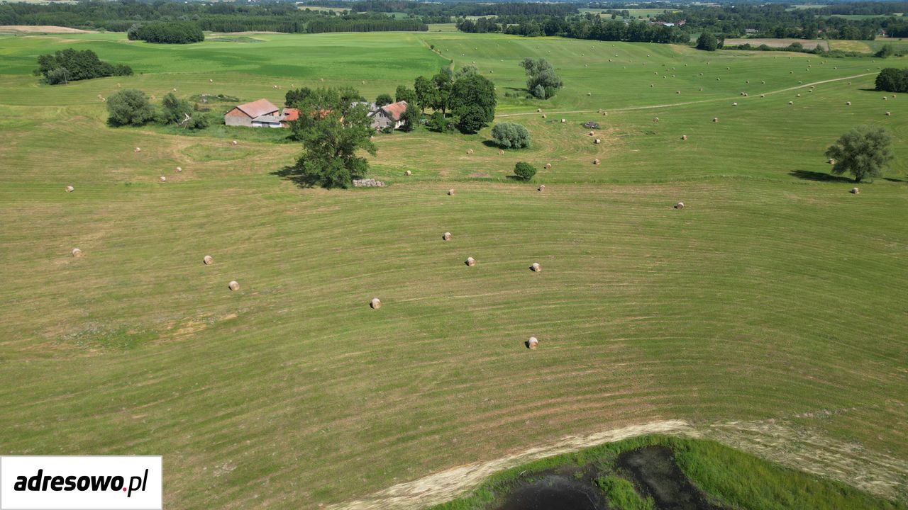 Działka Babki Gąseckie, bez pośrednika - 73,78 ha - 5 990 000 zł