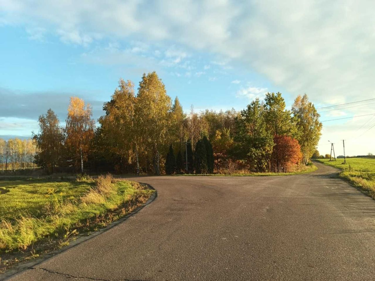 Działka Czemierniki, ul. Brzezińska. Zdjęcie 3