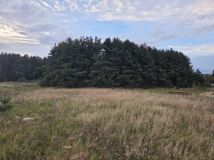 Działka budowlana Rokocin, ul. Leśna. Zdjęcie 3