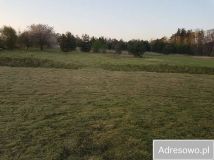 Działka budowlana Badrzychowice. Zdjęcie 1