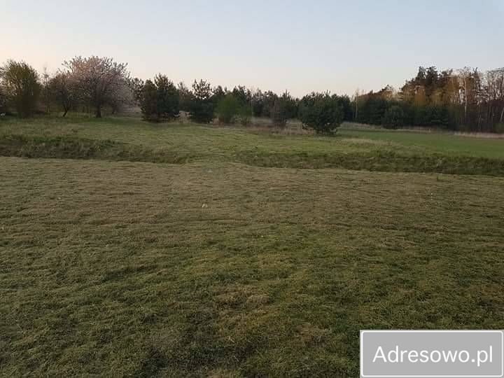 Działka budowlana Badrzychowice. Zdjęcie 2
