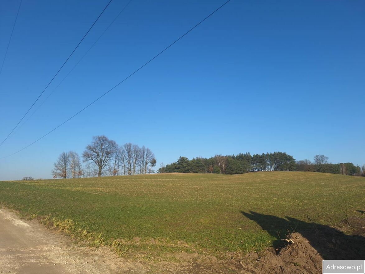 Działka rolna Kikół. Zdjęcie 3