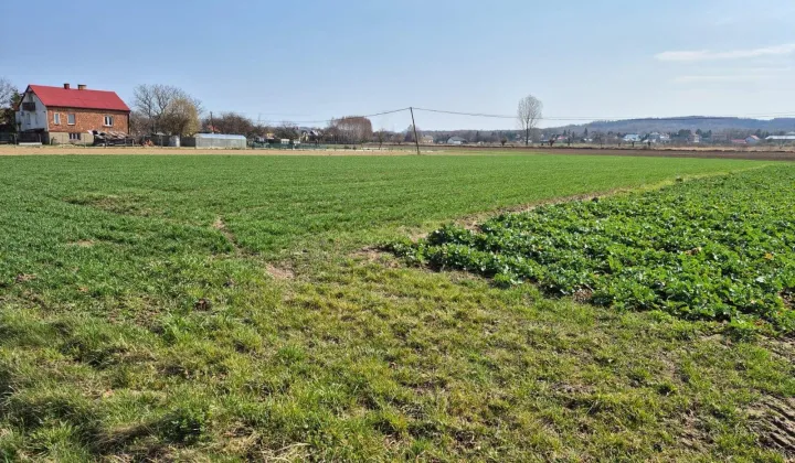 Działka rolna Brzezówka