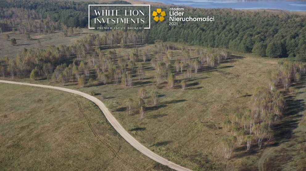 Działka budowlana Szczechy Małe. Zdjęcie 7