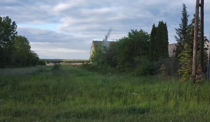 Działka siedliskowa Annopol Rachów, ul. Puławska