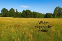 Działka budowlana Ołtarze-Gołacze. Zdjęcie 2