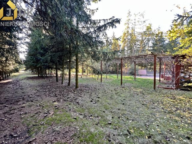 dom wolnostojący, 5 pokoi Lasocin. Zdjęcie 9