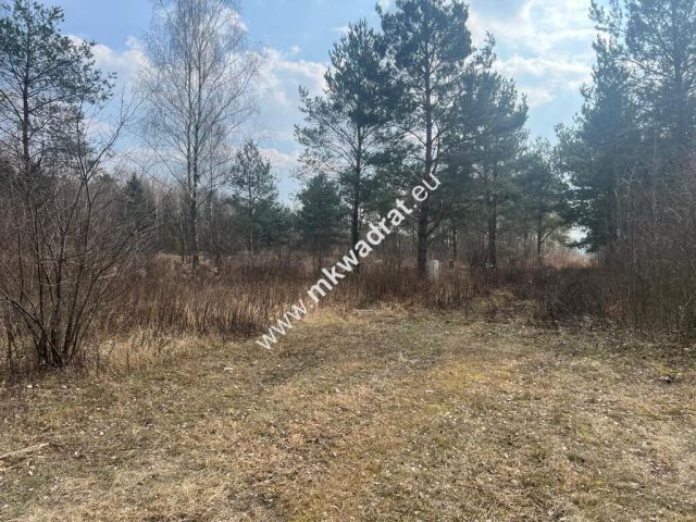 Działka Tłumy. Zdjęcie 4