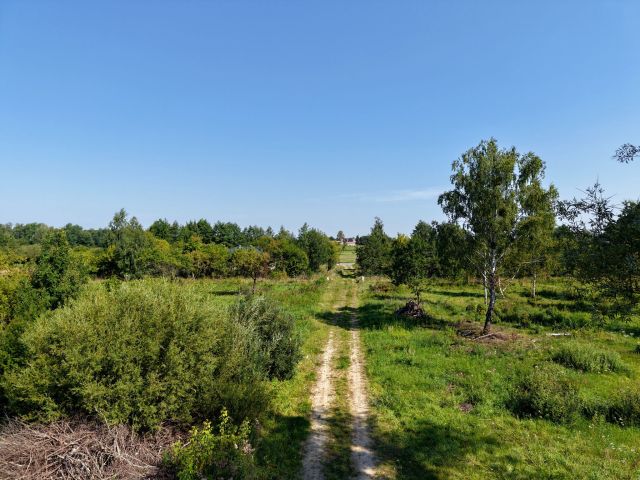 Działka rolno-budowlana Głodowo Wielkie. Zdjęcie 1