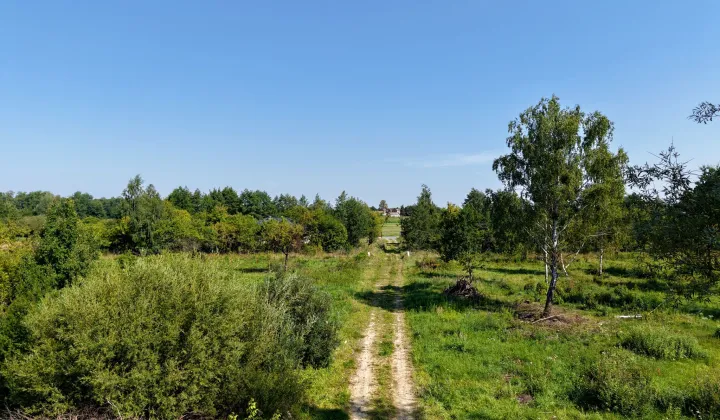 Działka rolno-budowlana Głodowo Wielkie