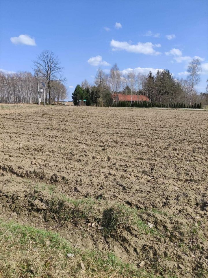 Działka budowlana Bardzynin. Zdjęcie 3