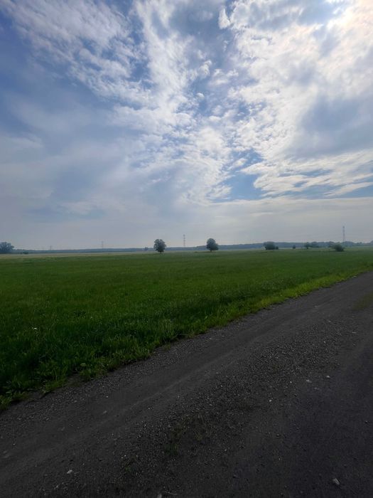 Działka budowlana Borowa, ul. Polna. Zdjęcie 3