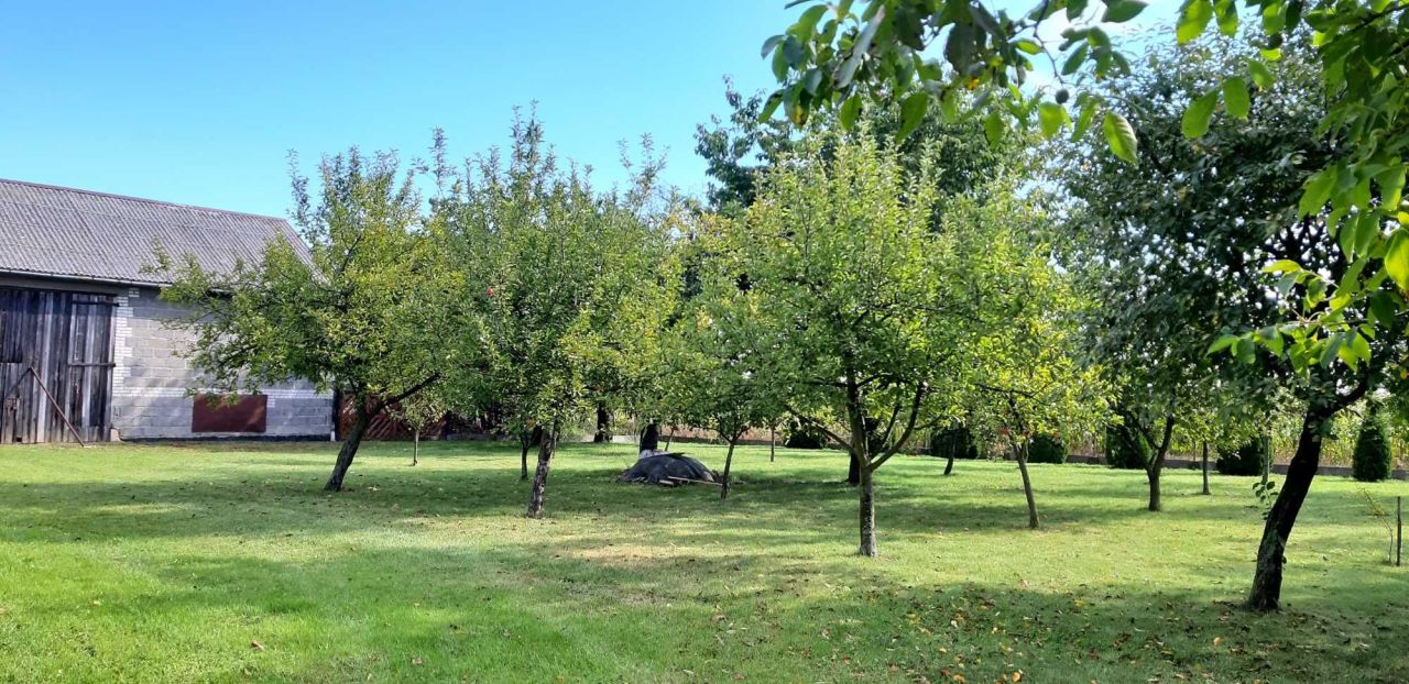 gospodarstwo, 3 pokoje Ruda, ul. Tadeusza Kościuszki. Zdjęcie 4