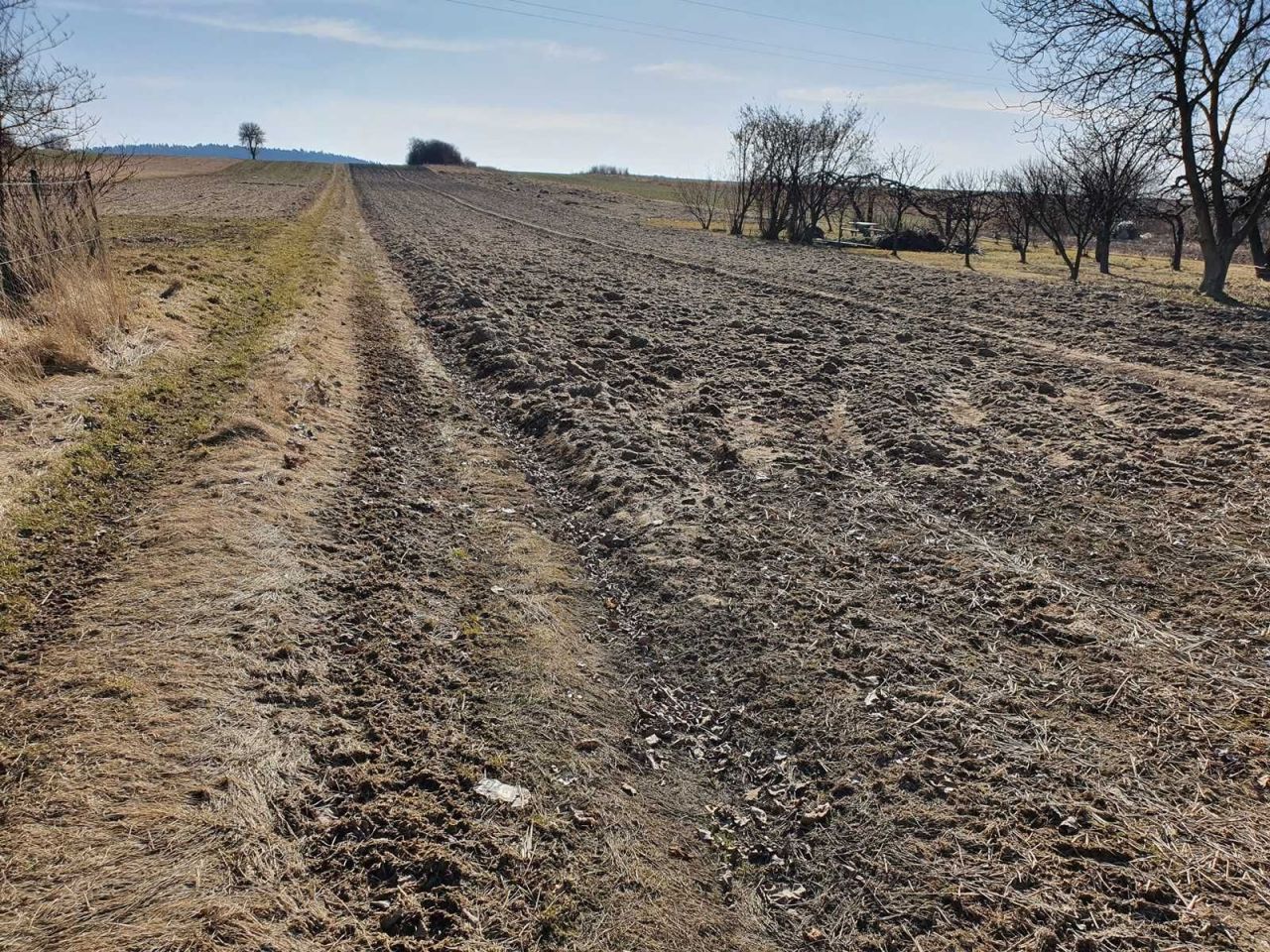 Działka budowlana Radlin. Zdjęcie 3