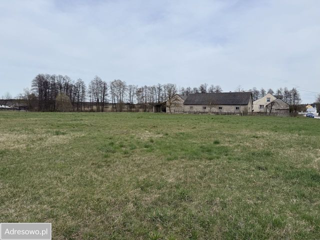 Działka budowlana Skrzelczyce Piaski. Zdjęcie 1