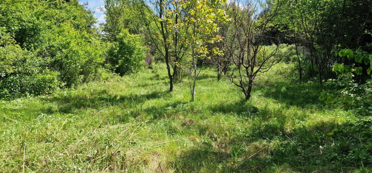 Działka budowlana Rokitno Szlacheckie. Zdjęcie 5