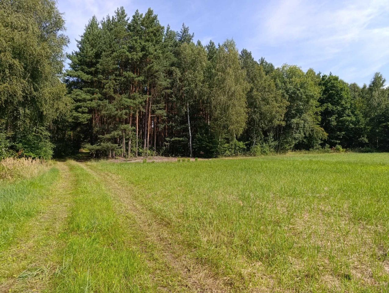 Działka rolna Grabowiec Stawiszcze. Zdjęcie 7