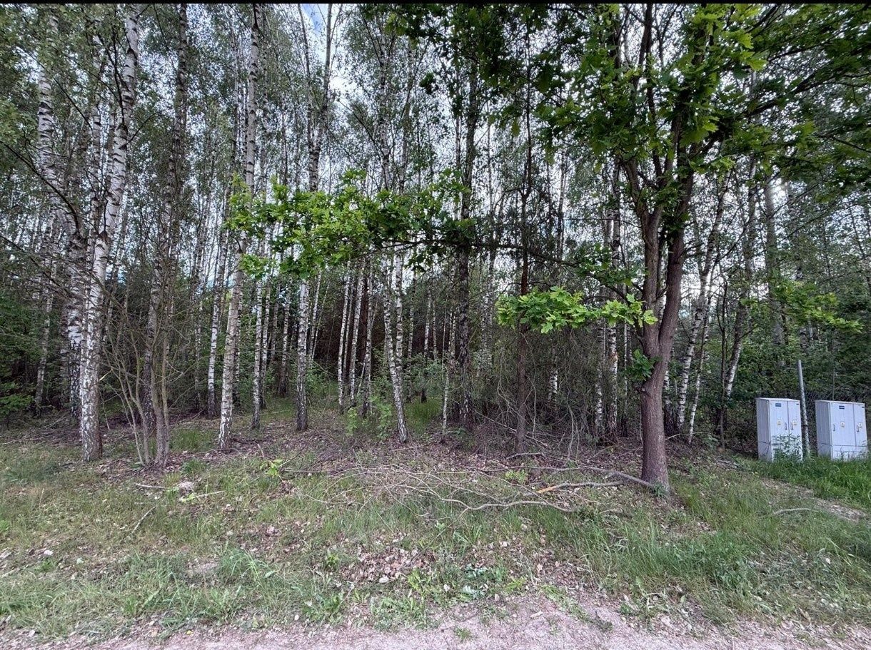 Działka na sprzedaż bez pośredników
ul. Sójki
Zaręby