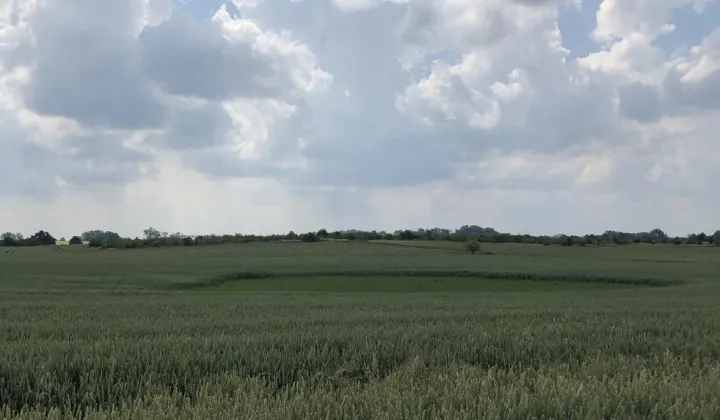 Działka rolna Będargowo