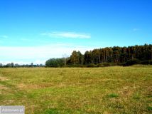 Działka rolna Chomino. Zdjęcie 3