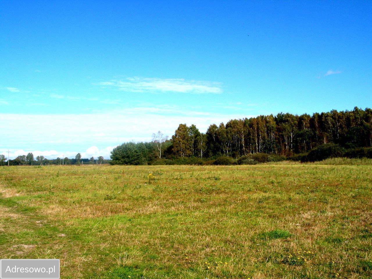 Działka rolna Chomino. Zdjęcie 4