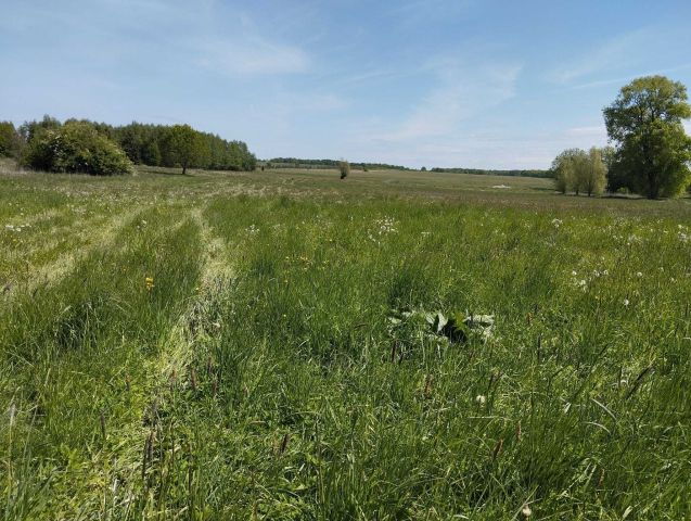 Działka budowlana Dębice. Zdjęcie 1