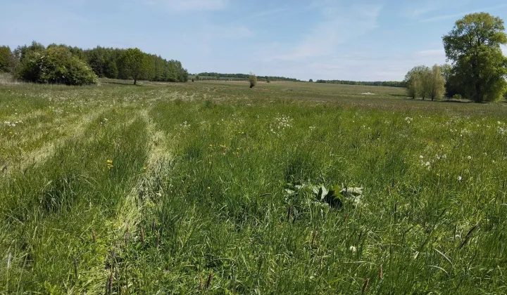 Działka budowlana Dębice