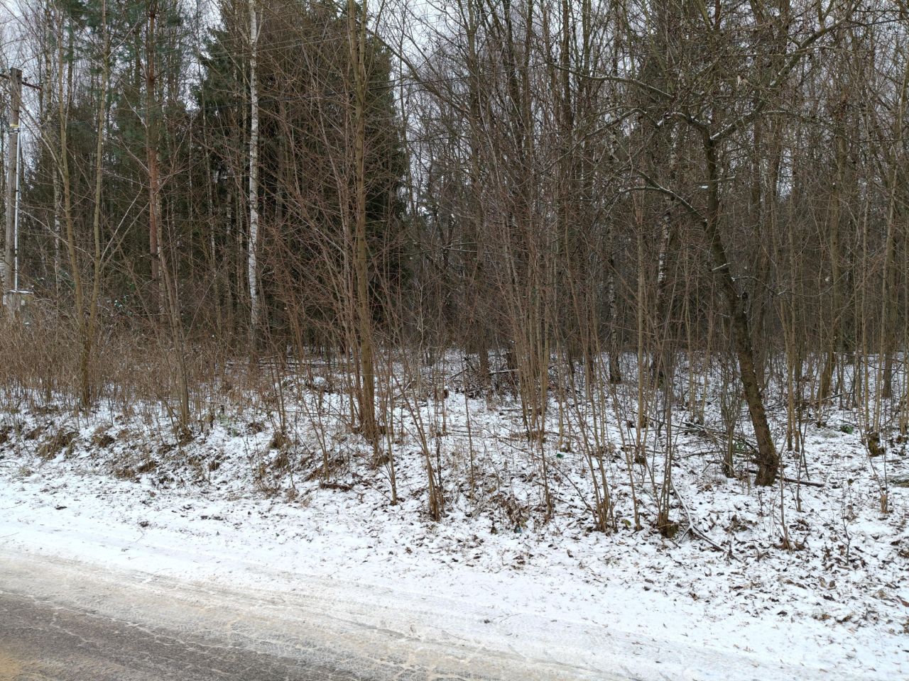 Działka rolno-budowlana Przyłogi Znajoma. Zdjęcie 13