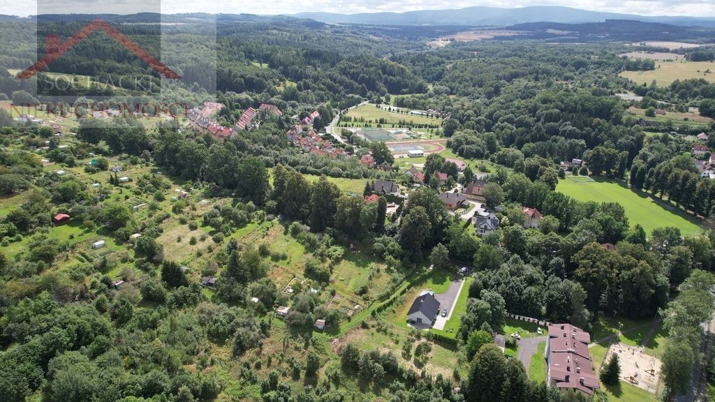 Działka budowlana Leśna. Zdjęcie 9