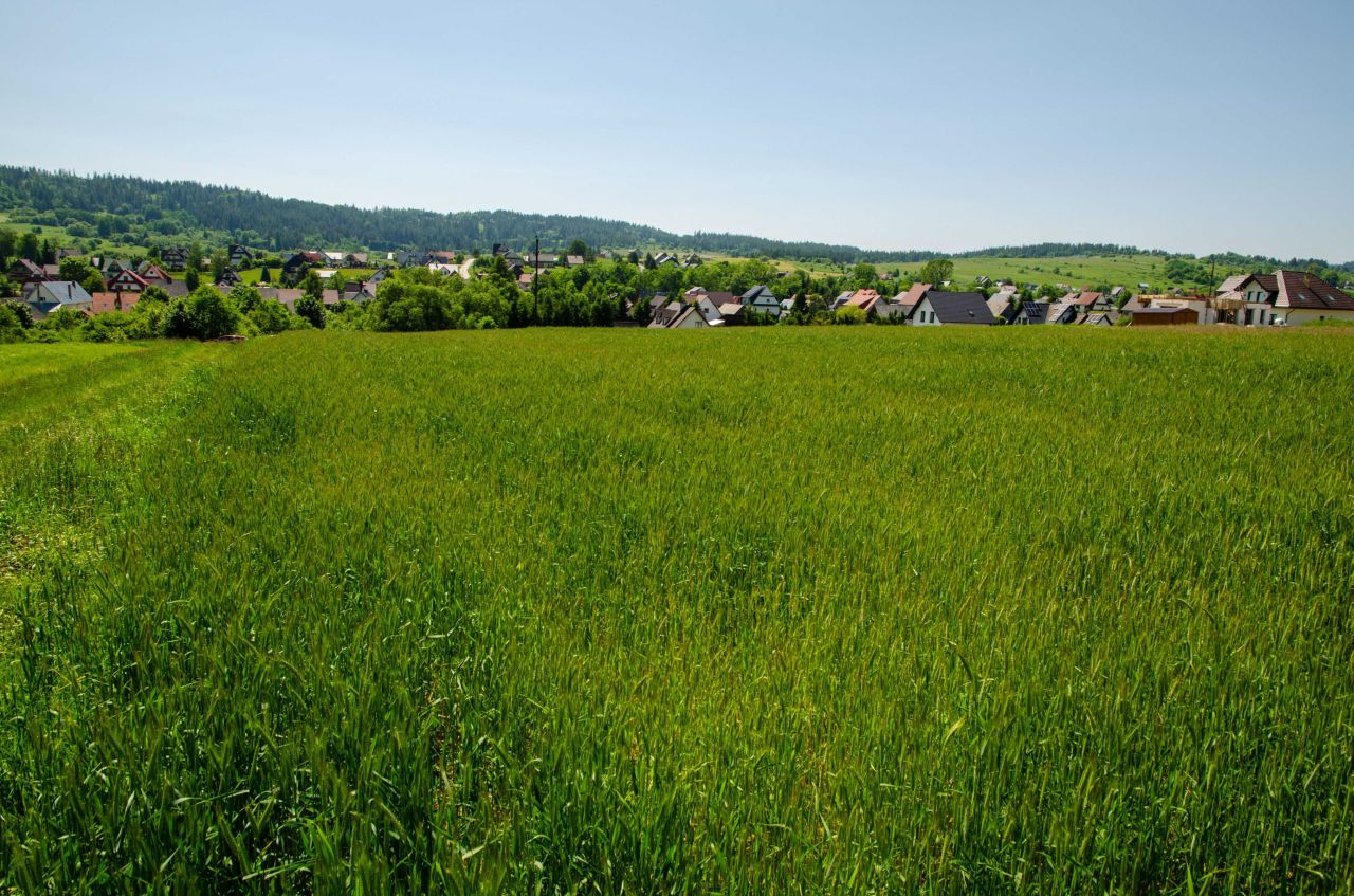 Działka budowlana Lipnica Wielka Lichosytowa. Zdjęcie 4