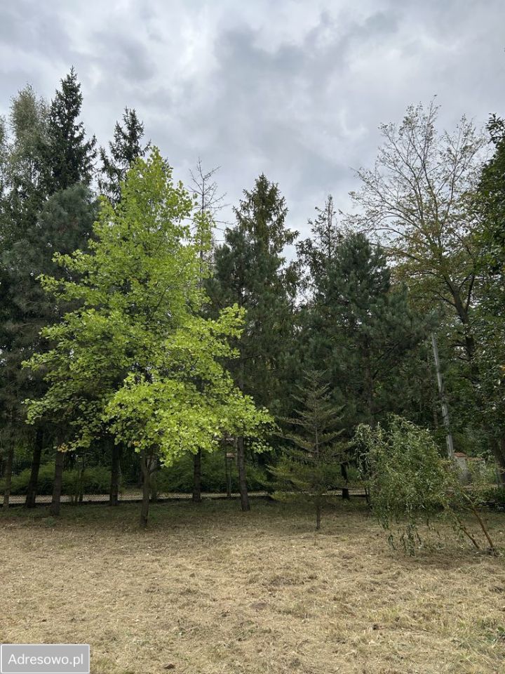 Działka budowlana Niecenia. Zdjęcie 13