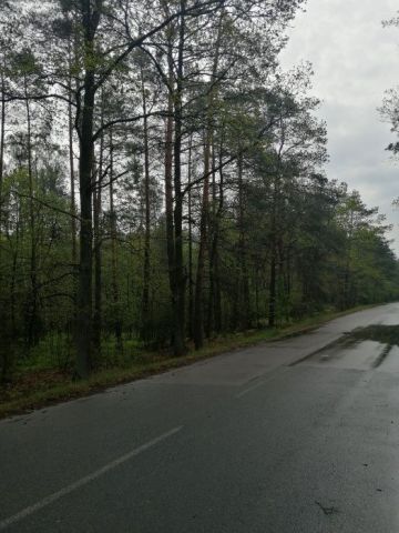 Działka leśna Dębina. Zdjęcie 1