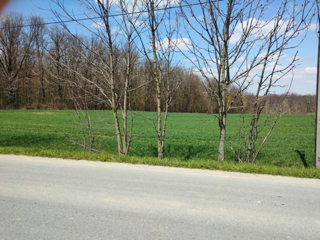 Działka budowlana Celiny. Zdjęcie 32