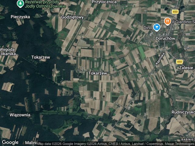 Działka rekreacyjna Tokarzew. Zdjęcie 1