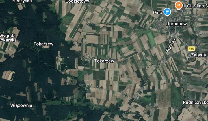 Działka rekreacyjna Tokarzew