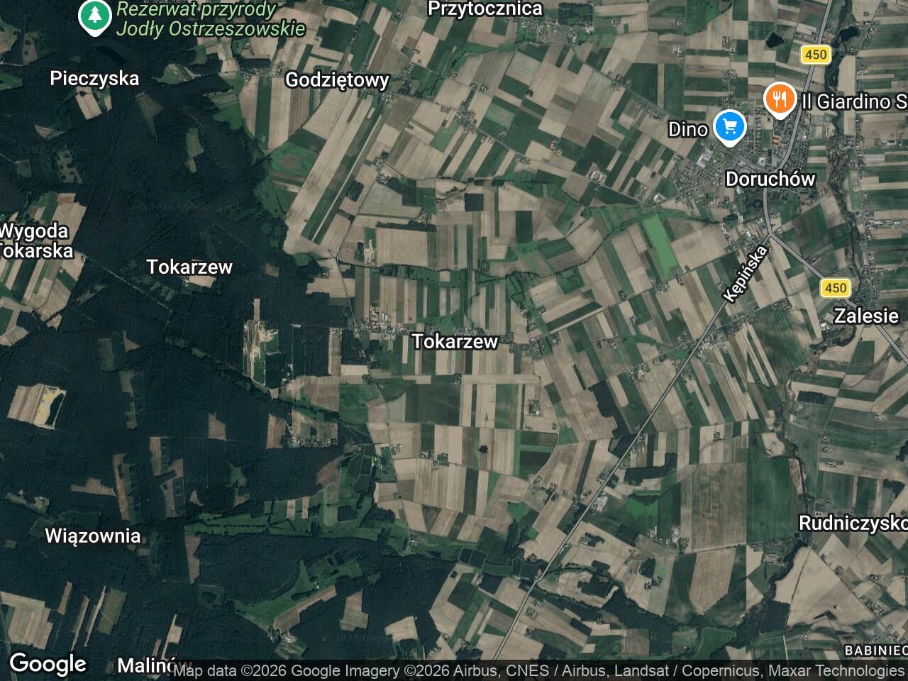 Działka rekreacyjna Tokarzew. Zdjęcie 1