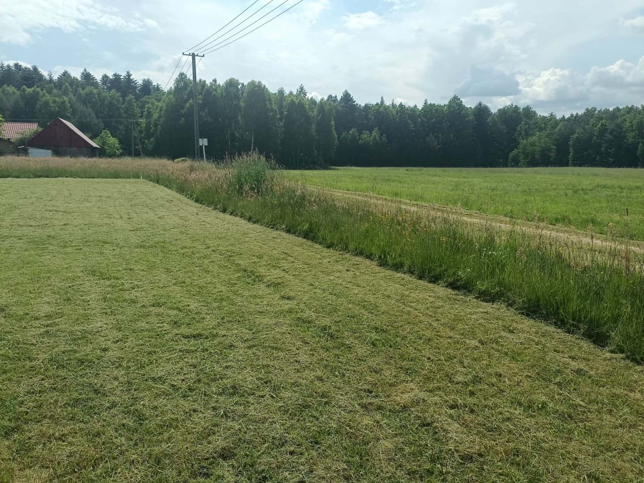 Działka inwestycyjna Nowek. Zdjęcie 4