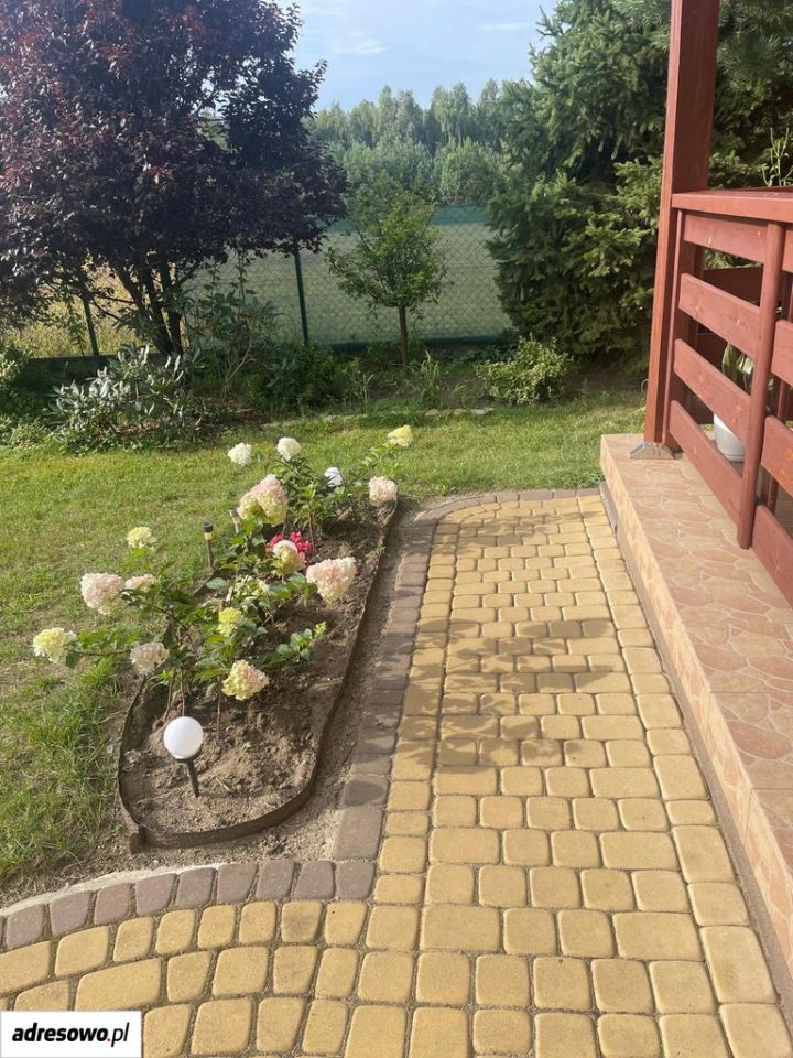 Zdjęcie 3