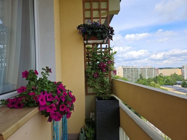 Mieszkanie 2-pokojowe Wałbrzych Podzamcze. Zdjęcie 11