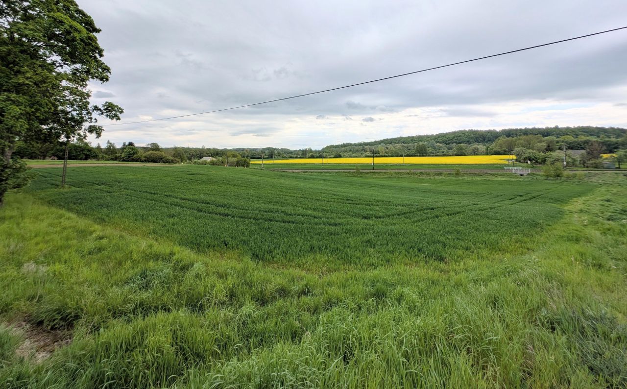 Działka budowlana Siepietnica. Zdjęcie 4