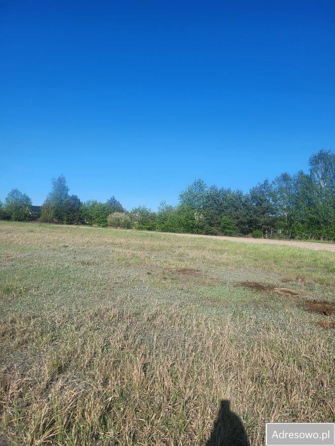 Działka rolna Orchówek, ul. Szkolna. Zdjęcie 2