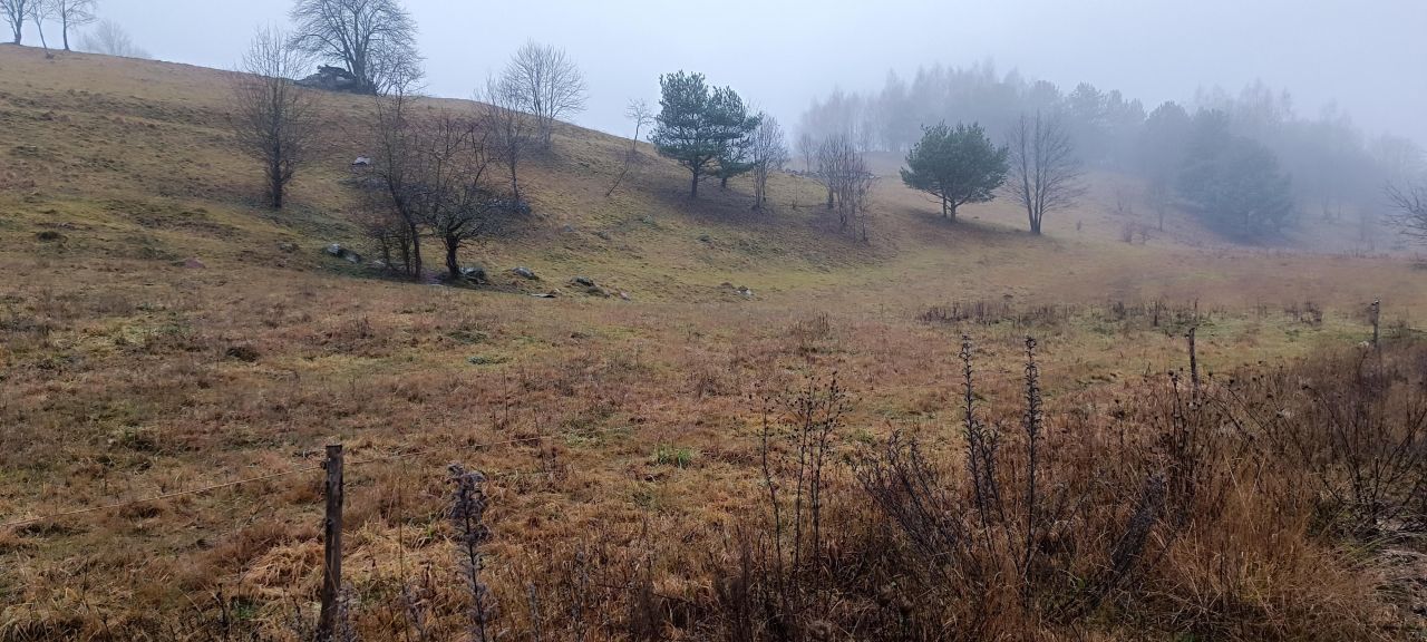 Działka rolno-budowlana Biała Woda, Biała Woda. Zdjęcie 6