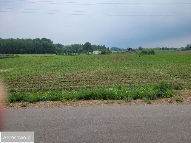 Działka rekreacyjna Rajgród, ul. Zabród. Zdjęcie 1