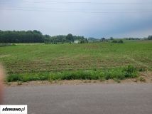 Działka rekreacyjna Rajgród, ul. Zabród. Zdjęcie 1