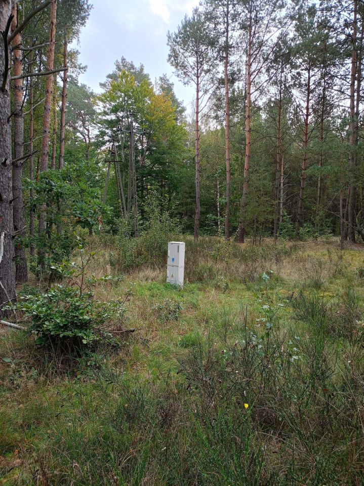 Działka budowlana Łośno. Zdjęcie 3