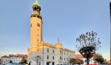 Mieszkanie 1-pokojowe Sulechów, ul. Licealna